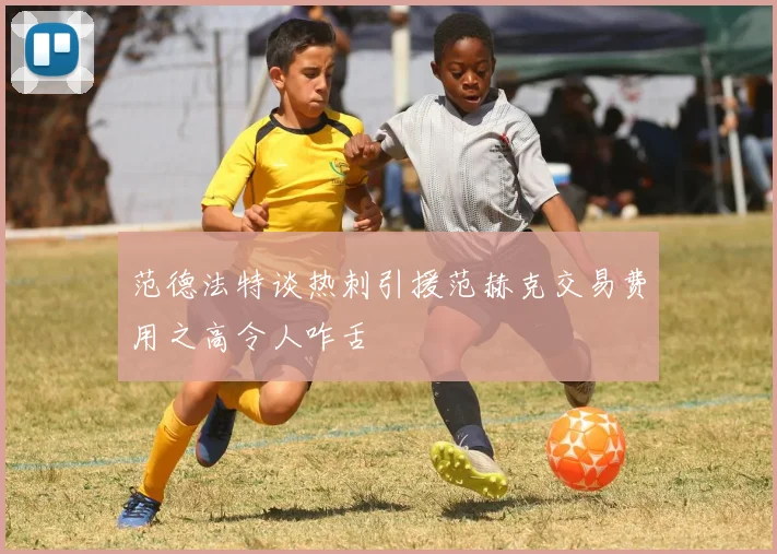 范德法特谈热刺引援范赫克交易费用之高令人咋舌